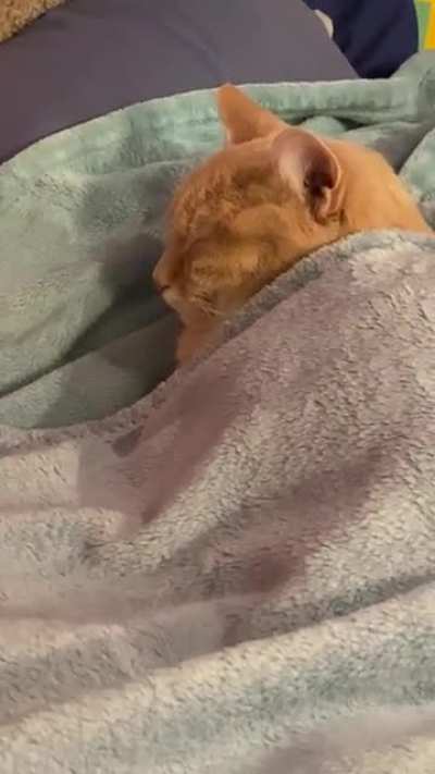 Someone&rsquo;s looking awful cozy&hellip;💙