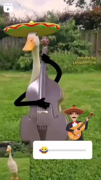 Bom dia