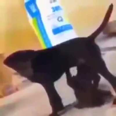 Blursed_Father
