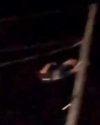 Idiot climbs telephone pole
