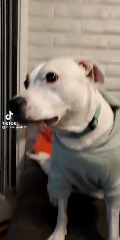 Was already perfectly cut