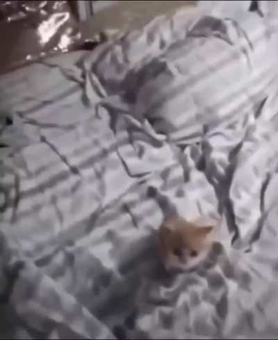 una locura