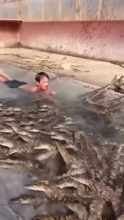 Life expectancy: 10