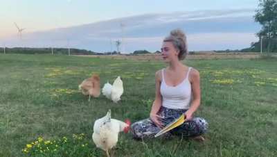 Recording of a Children&rsquo;s book reading interrupted.