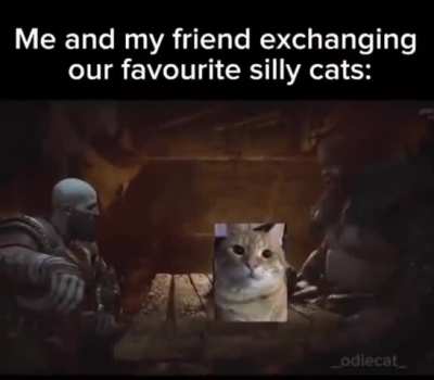 Wunky exchange