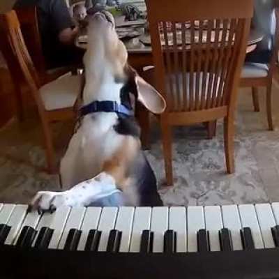 love how the dog leans back while he&rsquo;s singing.