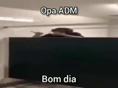 opa bom dia