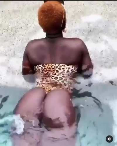 Cheetah