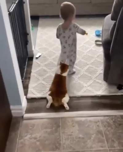 Hurry up, little hooman!