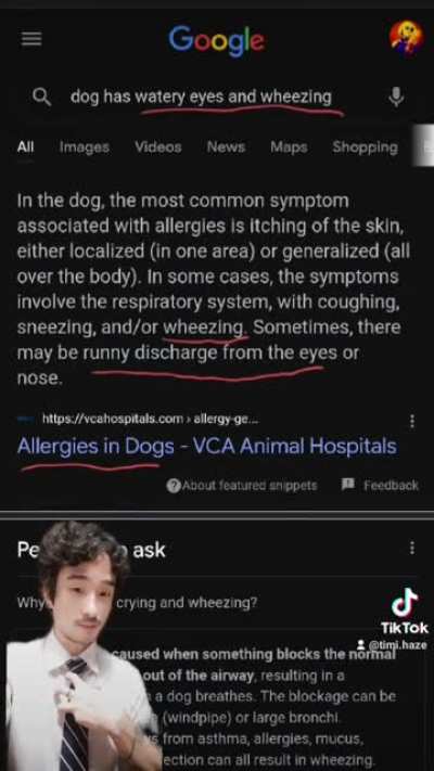 Tiktoker thinks her dog having an allergic reaction is a funny joke
