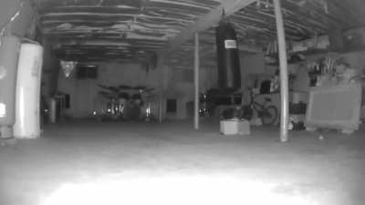 I decided to see if I could catch something in  my basement, motion got triggered at 1:51am and I caught this. Any ideas? (I'm very skeptical of "orbs")