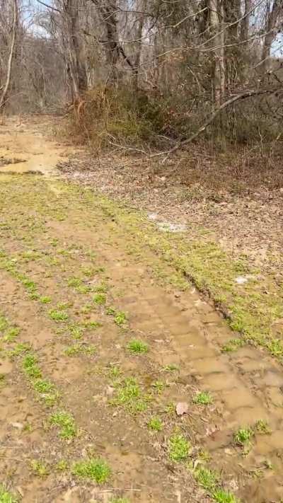 NW TN creek bore.