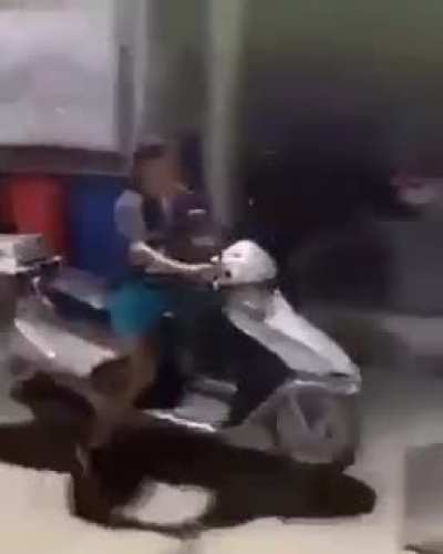 Ride or die
