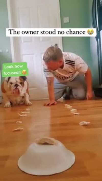 The dog didn&rsquo;t show any mercy 🐶😂😂