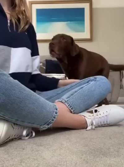 How this girl talks about her beloved dog.