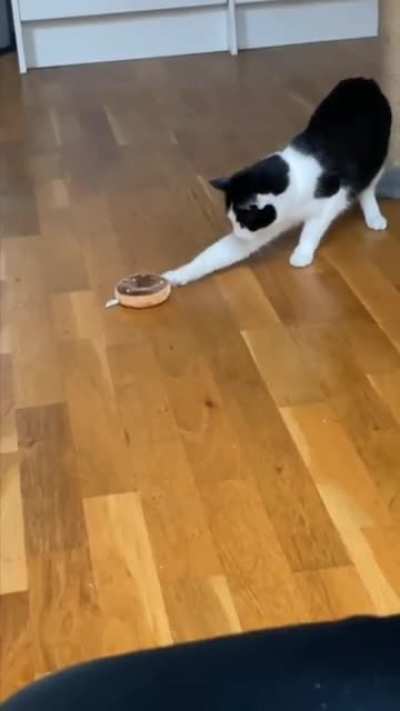 Hey..what&rsquo;s that..!???