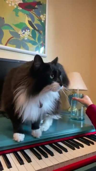 He says PLEASE