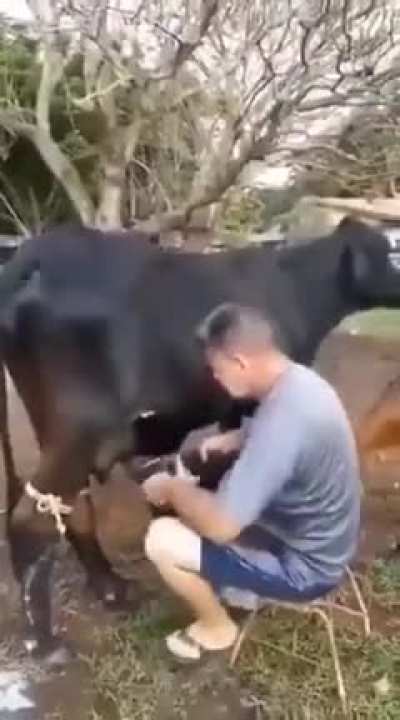 Respect the animals