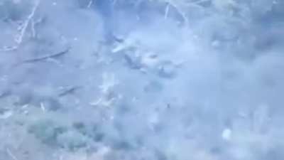 Ukraine War | Vaporized Russians Compilation - August 06, 2024. Just one day of work from the Ukrainian Armed Forces (August 06, 2024). NSFW. There&rsquo;s some classic b-roll throughout.