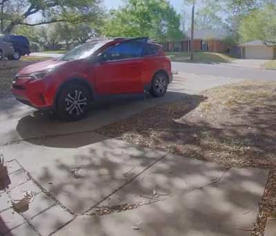 neighbor&rsquo;s cat tries to steal my car, doesn&rsquo;t appreciate my presence