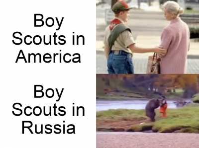 What do you mean you, "don't punch bears"