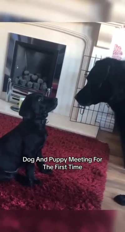 And they will be besties for ever