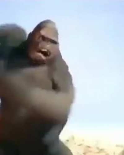 A freind sent me this without context