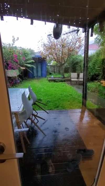 Rain in my backyard
