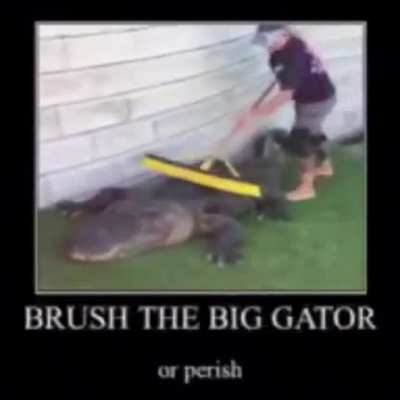 Brush him