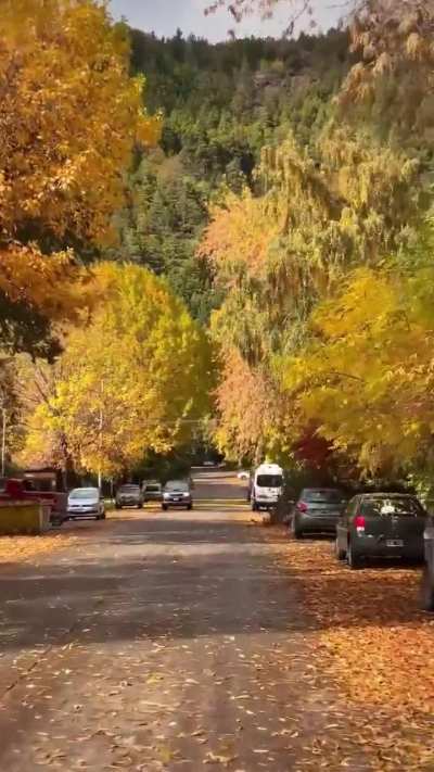 Otoño en San Martín de Los Andes