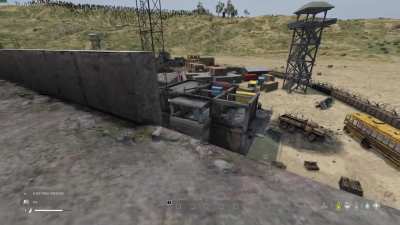 dayz