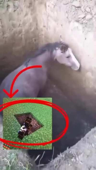 &eacute; real