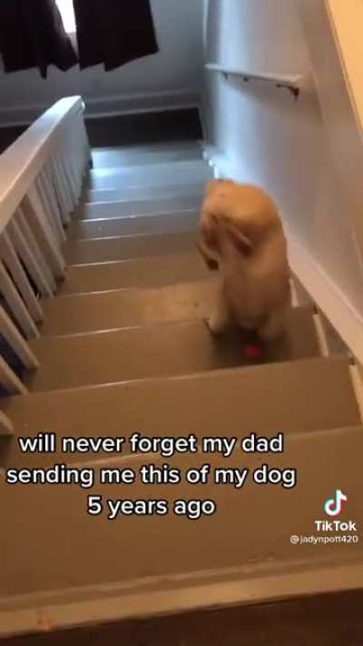 Staircase fetch