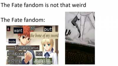 I love the Fate fandom