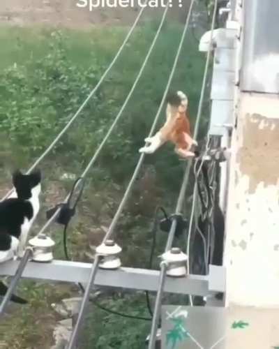 Hold it enough