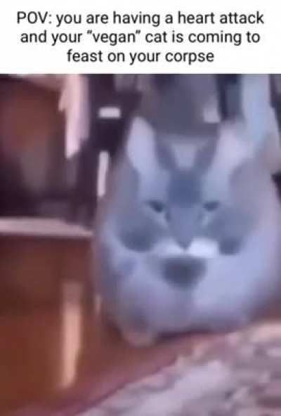 Hmmmm...