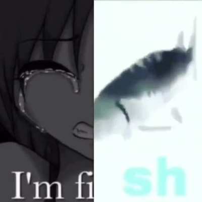 le fishe