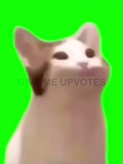 Mods gay