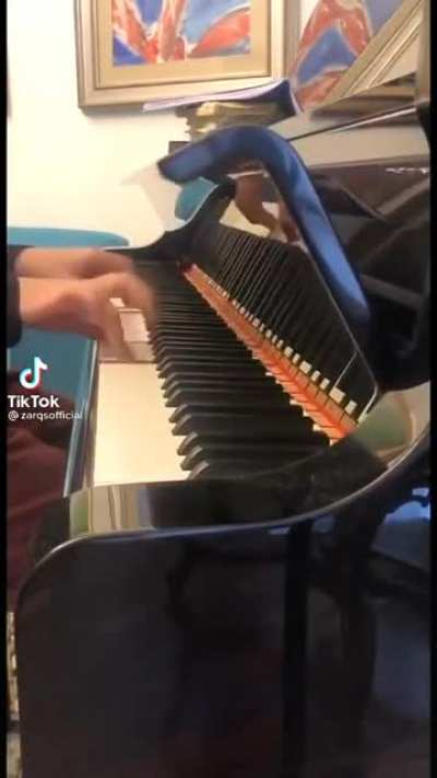 Fur Elise Speedrun