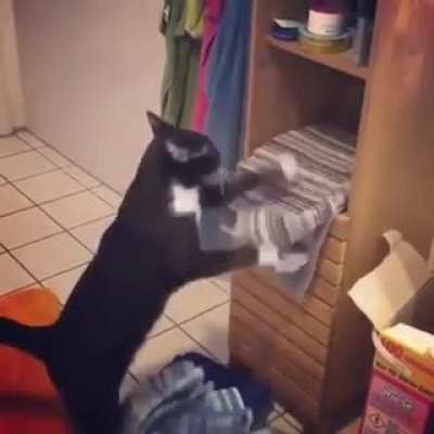 Making a bed