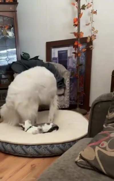 &ldquo;Are you going to do something about this?&rdquo; - Both