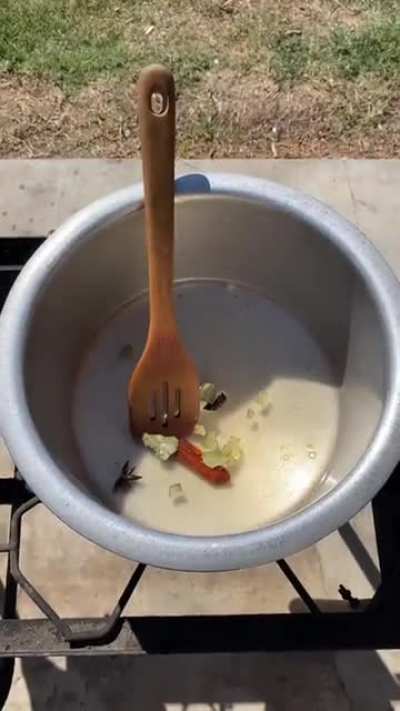 Veggie Biryani