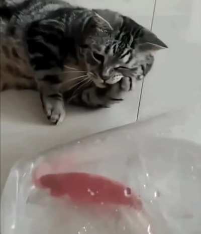 Красивое