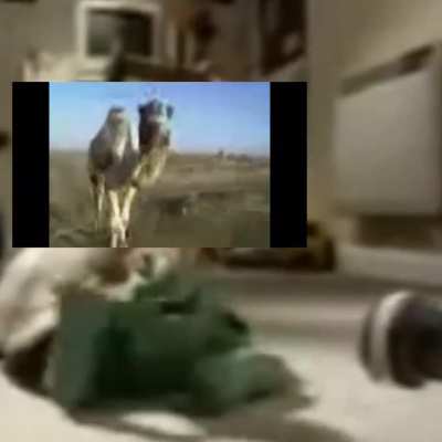 nigga allah