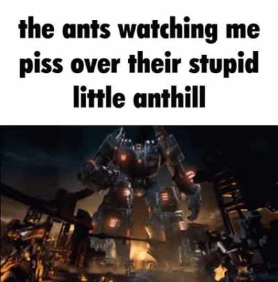 shwepid ants