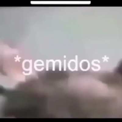 Un siri facendo pa