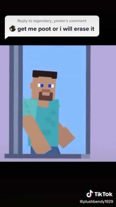 Not Minecraft Steve