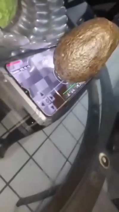 La verdadera granja automática 😦