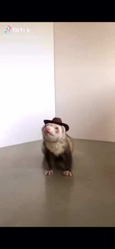 ele &eacute; um cowboy