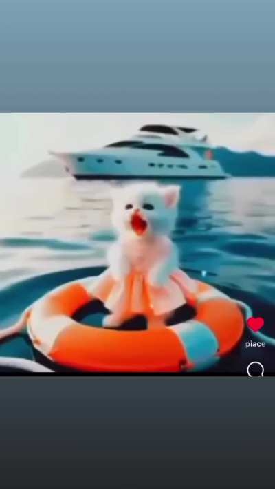 Guardate cuaaa!! Questo &egrave; un pap&agrave; gatto che ha salvato la figlia di sua figlia!!! Che bravo!! La prova che gli animali hanno pi&ugrave; dolcezza ai loro figli e dobbiamo prendergli esempio a queste creature di Dio!! VIVA I GATTI!! 😻😻😻😻😻❤️❤️❤️❤️